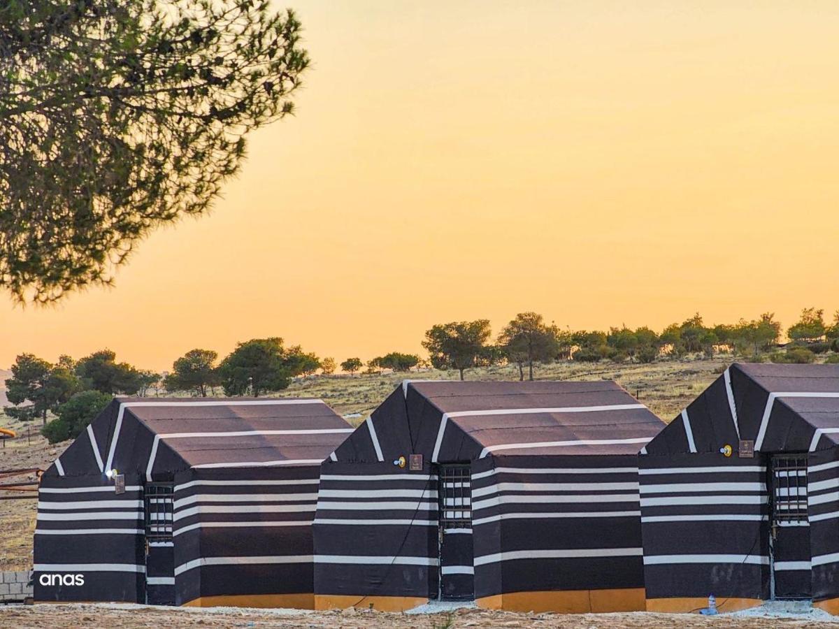 Wadi Al-wala View Camp Luxury tent *